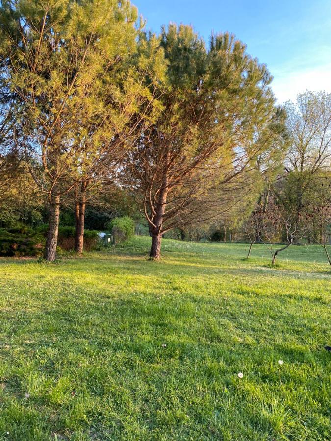 Chez Sophie - Gite Et Gite Equestre Clermont-Dessous Exterior foto